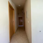 Nikola *