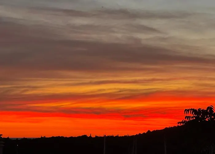 Nikola * Rogoznica (Sibenik-Knin)